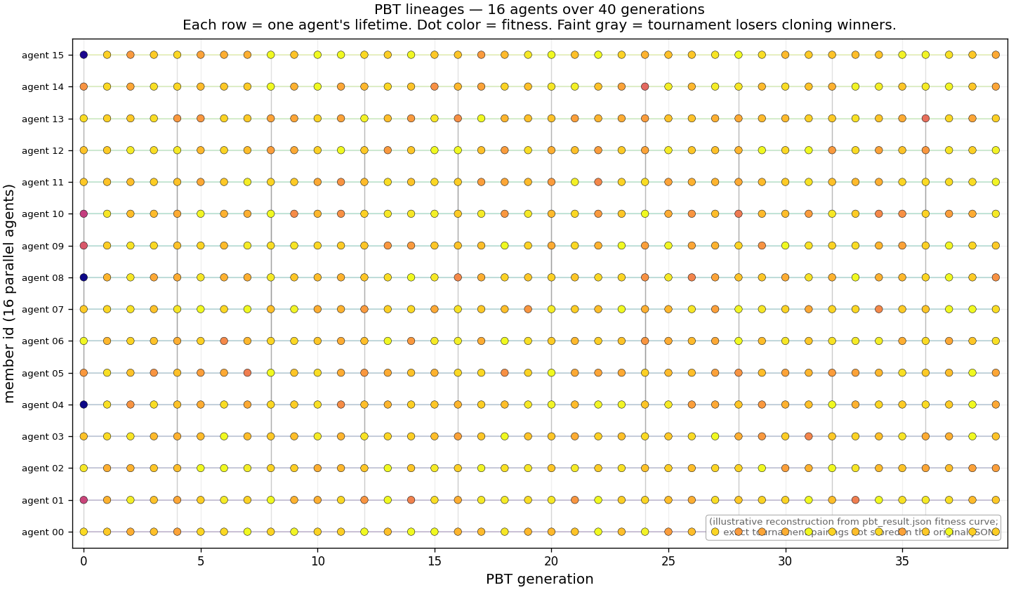 16 horizontal lineages over PBT generations